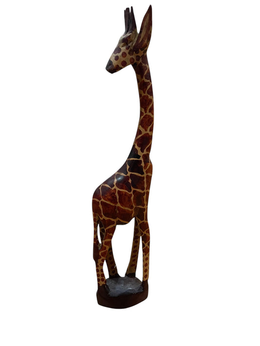 African Giraffe