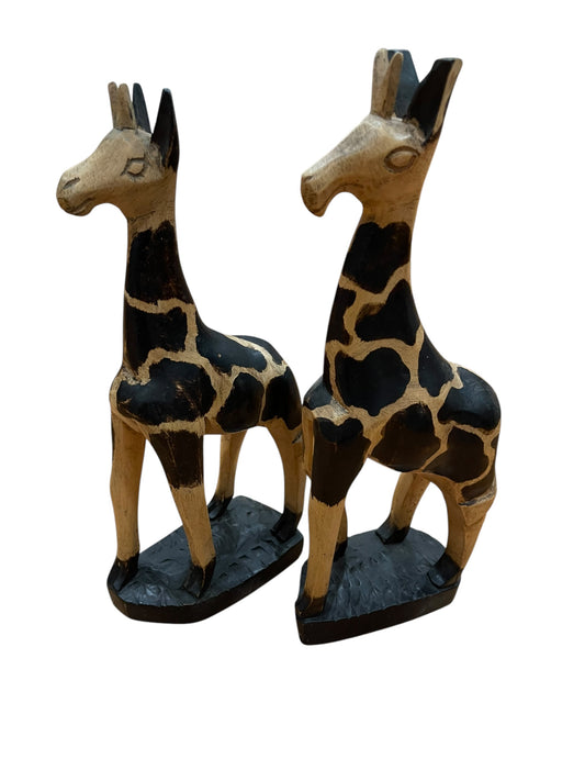 African Giraffe