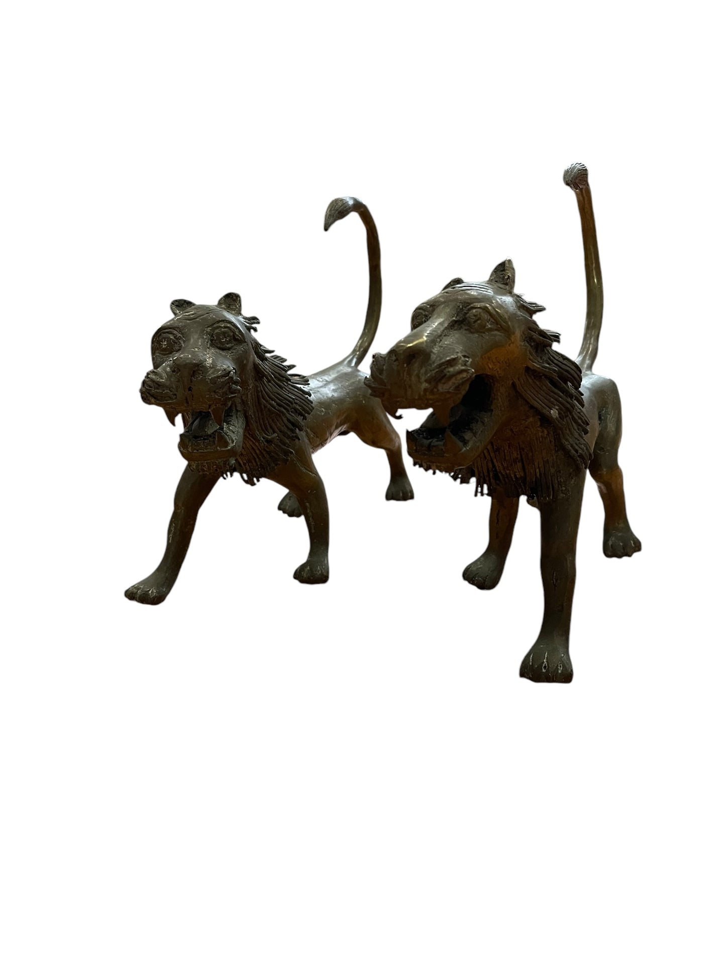 African Bronze Lions