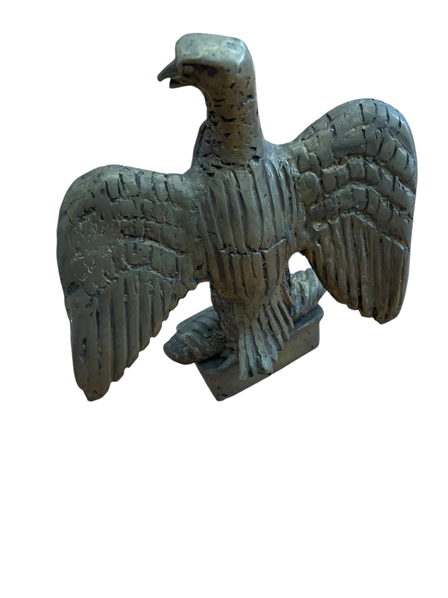 African Bronze Eagle Bird