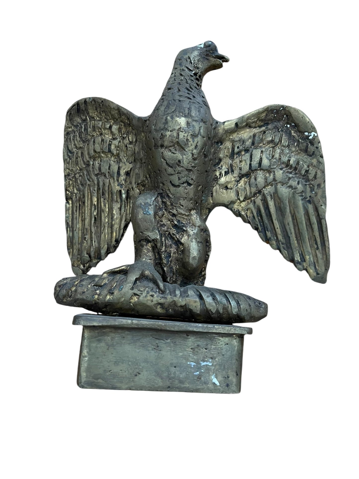 African Bronze Eagle Bird